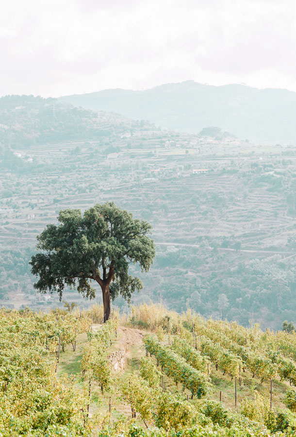 ilovebrides.pt Bossa meets Fado by Momento Cativo